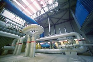 Combined heat and power in the biomass power station Fechenheim