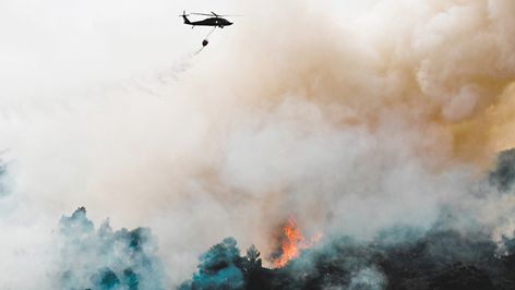 Fire department extinguishes forest fire
