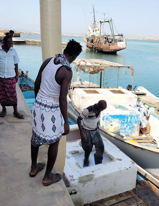 Fischer verladen Eis aus einer deutschen Maschine am Hafen Massawa.