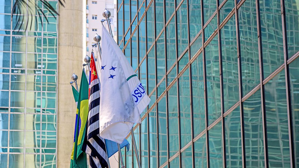 Mercosur Mercosul and Sao Paulo flag together