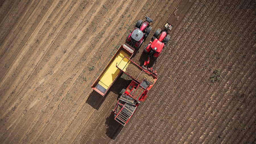 Traktor bei der Kartoffelernte: Das deutsche Unternehmen GRIMME liefert Technik für Kartoffel- und Gemüsebauern und will nun auch nach Brasilien expandieren. Dank des Freihandelsabkommens mit Mercosur wird das einfacher.