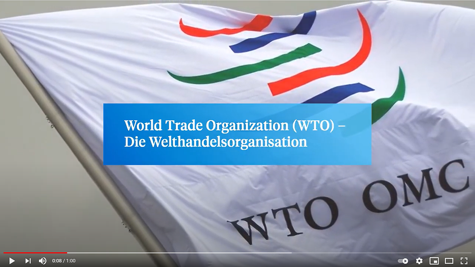 WTO Video