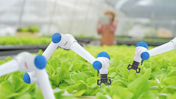 Automatic robot mechanical arm and hands woman holding tablet on blurred organic farm background