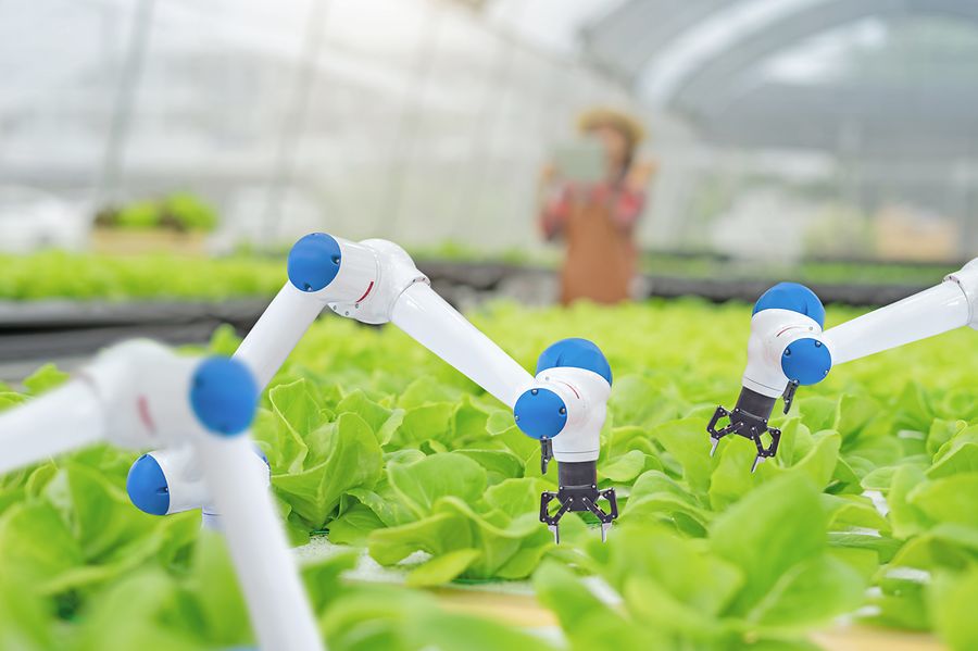 Automatic robot mechanical arm and hands woman holding tablet on blurred organic farm background