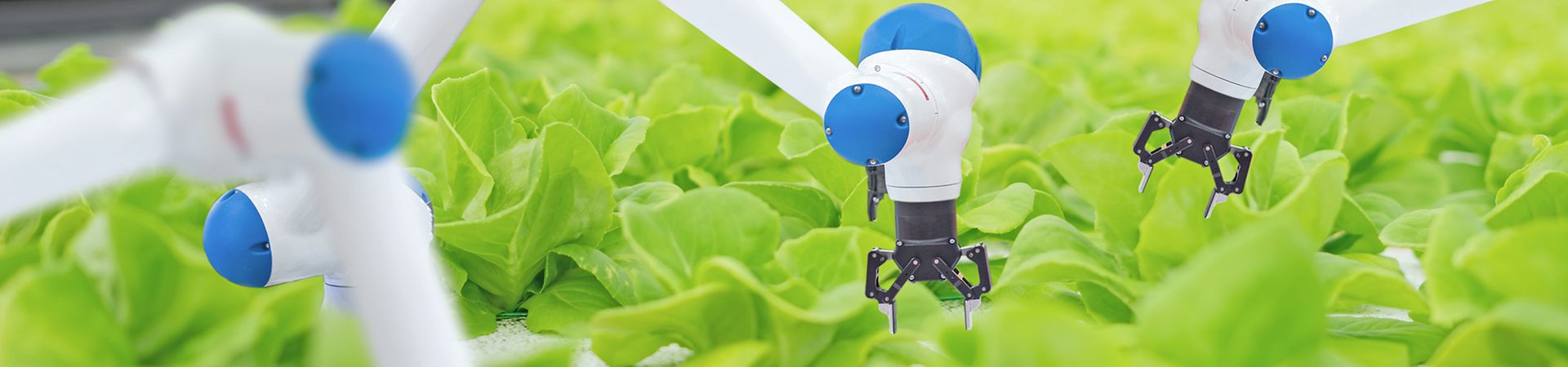 Gute digitale Infrastruktur auch in ländlichen Bereichen ist für Smart Farming von grundlegender Bedeutung