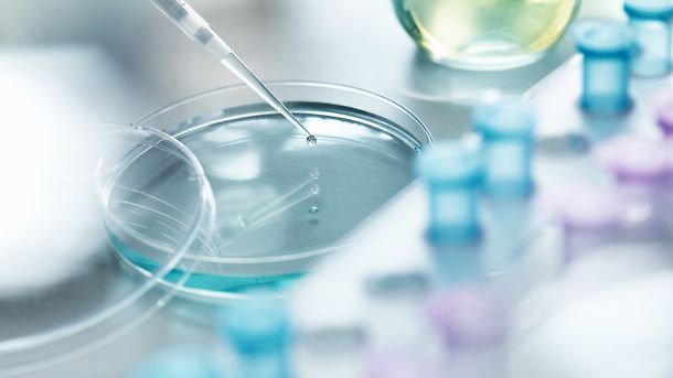 Medizin; Labor; Gesundheitswesen