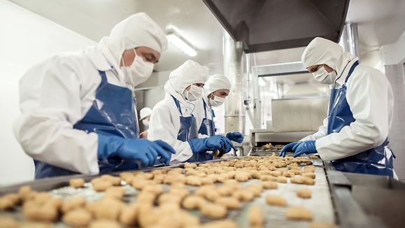 Group of people working at a food factory doing quality control on the production line