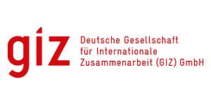 Logo der GIZ