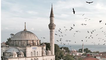 Blaue Moschee, Tuerkei, Istanbul | © GettyImages/NikolajTR