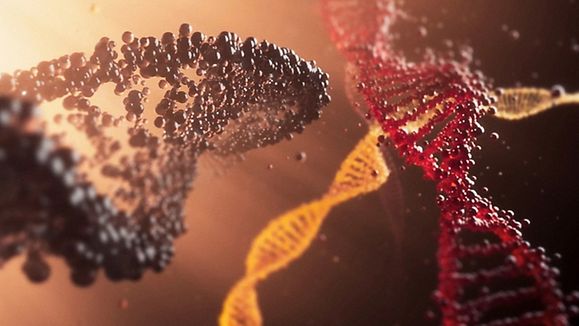 GermanyWorks. LifeSciences
